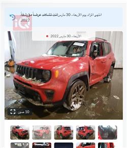 جيب رينيجيد